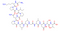 V5 Epitope Tag Peptide