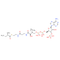 (S)-2-Methylbutyryl-CoA