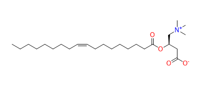 Oleoylcarnitine