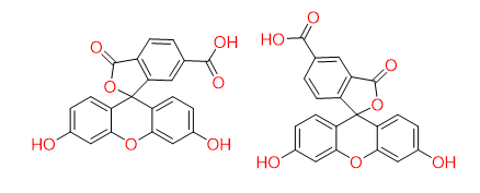 5(6)-Carboxyfluorescein