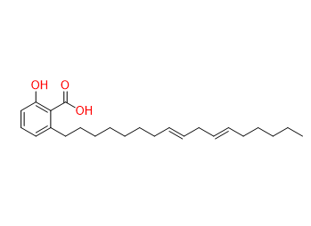 (E/Z)-Ginkgolic acid C17:2