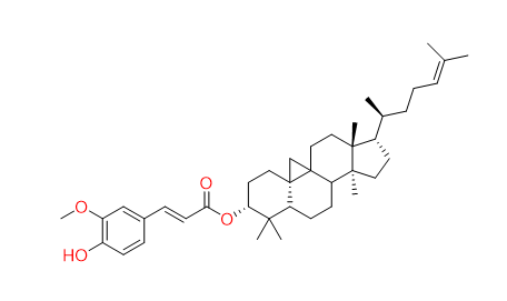 γ-Oryzanol