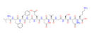 β-Amyloid (18-28)