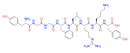 α-Neoendorphin (1-8)