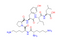 [Lys8, Lys9]-Neurotensin (8-13)