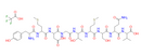 [Asp371]-Tyrosinase (369-377), human