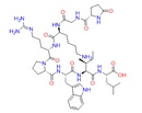 Xenopsin