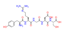 YRGDS Fibronectin Fragment