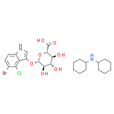 X-Gluc Dicyclohexylamine