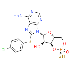 Rp-8-CPT-cAMPS