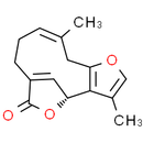 Linderalactone