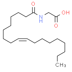 N-Oleoyl glycine