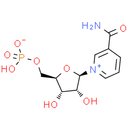 β-Nicotinamide mononucleotide