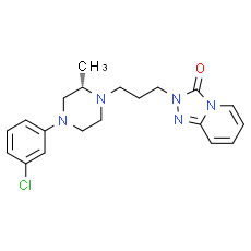 α1 adrenoceptor-MO-1