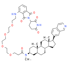 JH-XI-10-02