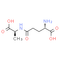 γ-L-Glutamyl-L-alanine