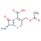 7-Aminocephalosporanic acid