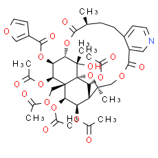 Wilfordinine D