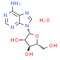 Vidarabine monohydrate