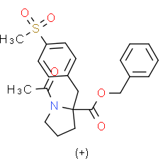 (+)-KCC2 blocker 1