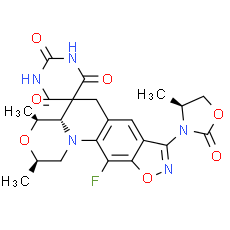 Zoliflodacin