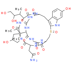 α-Amanitin