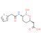 Vaborbactam