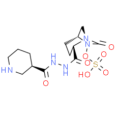 Zidebactam