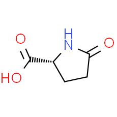 (R)-5-Oxopyrrolidine-2-carboxylic acid