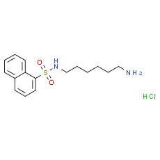 W-5 hydrochloride