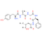 [D-Ala2]leucine-enkephalin