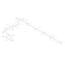 β-Amyloid (1-40) (rat)