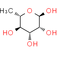 α-L-Rhamnose