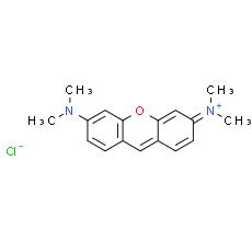 Pyronin Y