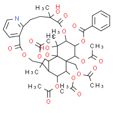 Wilfordine