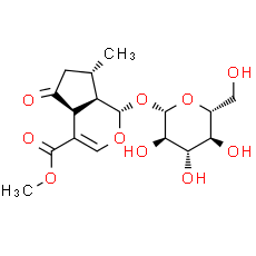 Verbenalin