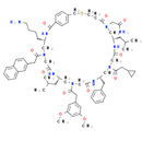 γ-AA peptide P6