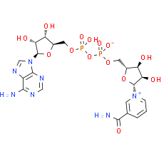 NAD+