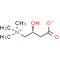 L-Carnitine