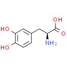 L-DOPA