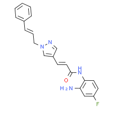 RGFP966(EE)