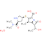 Meropenem (trihydrate)