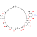 Nystatin